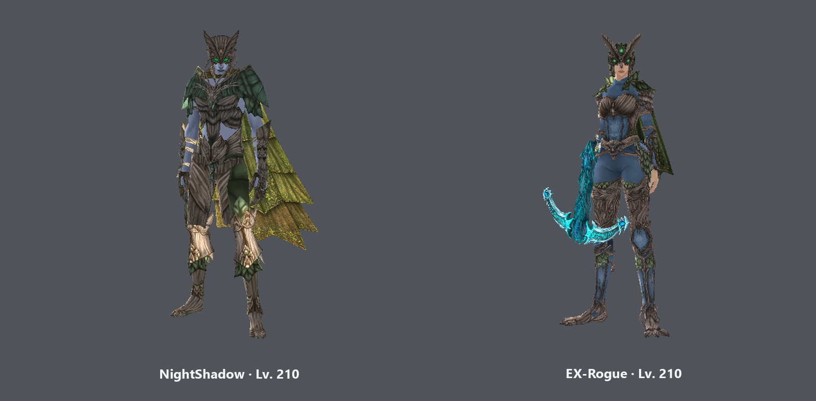 Eternal Woods: NightShadow and EX-Rogue.